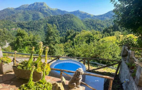 Pet Friendly Home In Palagnana With Wifi